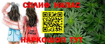 каннабис Тверь