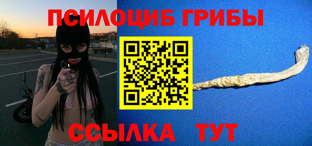 Новоуральск  Галлюциногенные грибы прущие грибы  Вход с VPN  Псилоцибиновые грибы мухоморы 